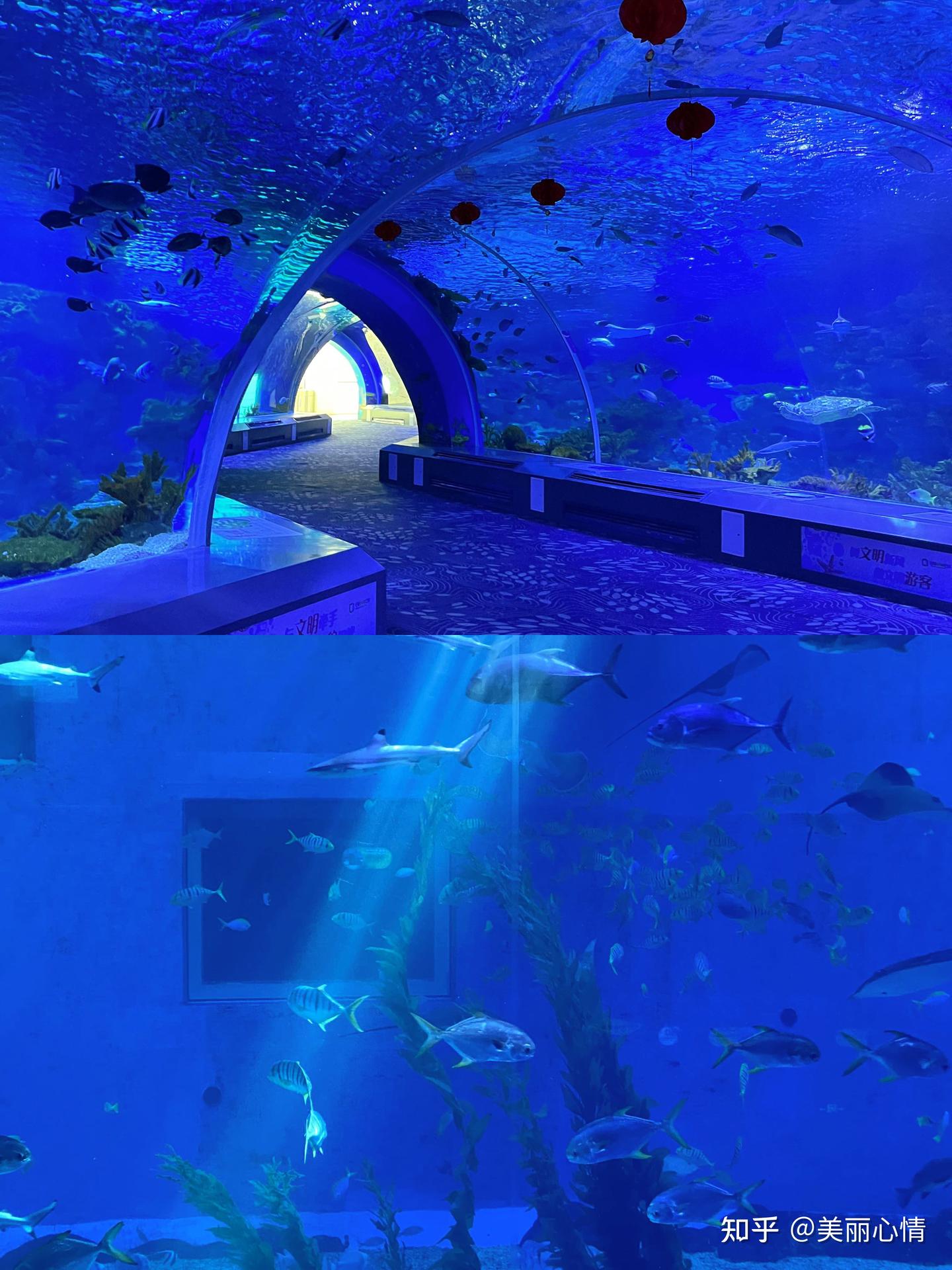 日照旅游攻略,免费赶海园,避雷指南 - 知乎