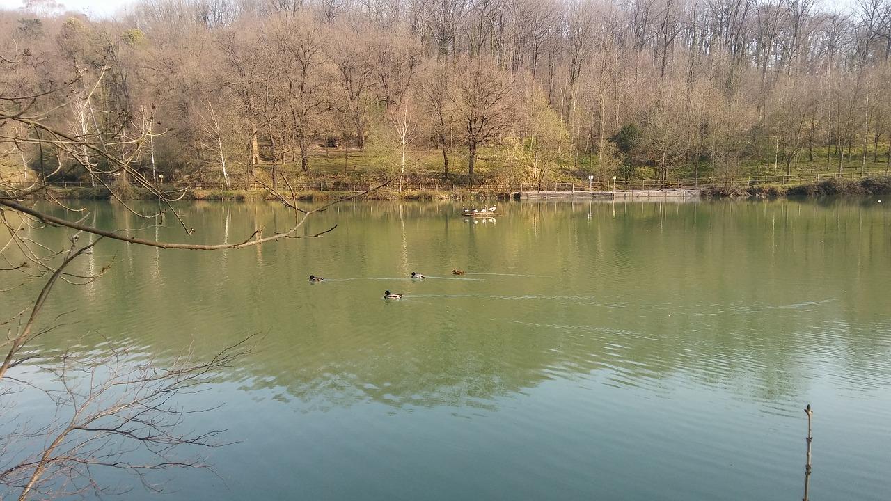 1. 水清社区简介