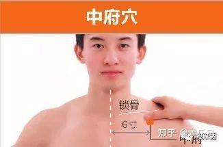 手太阴肺经-精准取穴 - 知乎