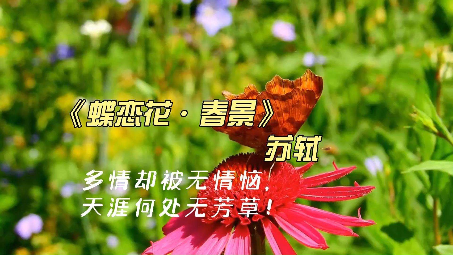 请教一下"枝上柳绵吹又少,天涯何处无芳草"这句诗? - 知乎