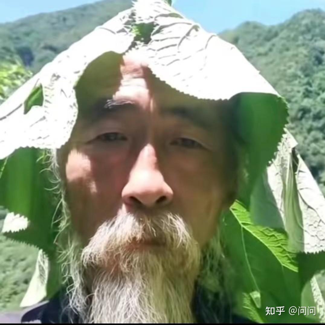 为什么最近好多人用这个老头当头像