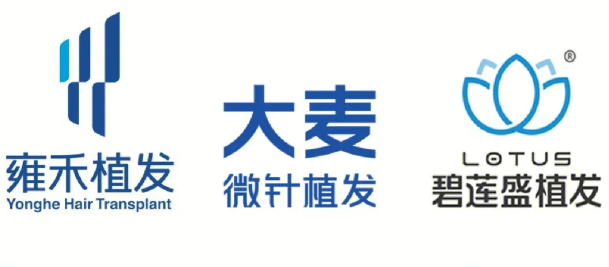 关于蜜蜂植发logo的信息