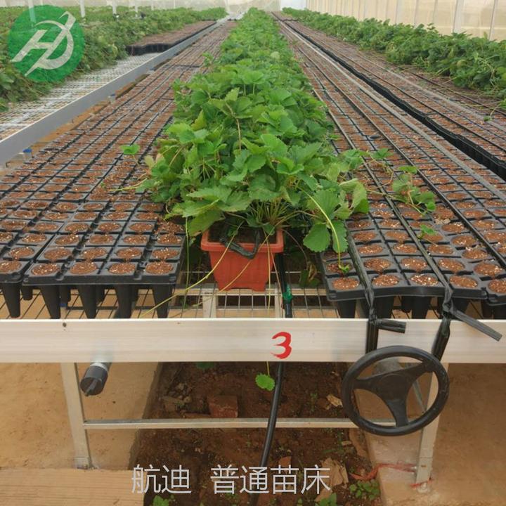 什么是移动苗床 知乎 什么是移动苗床 知乎