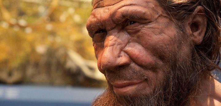每日一词:尼安德特人(neanderthals)