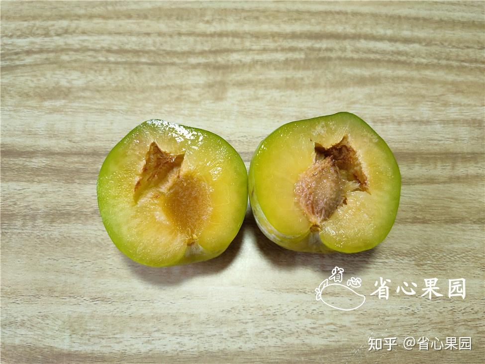 李子里面这样的是什么东西?褐色的小洞,还有透明的晶状体,这到底是啥? - 知乎