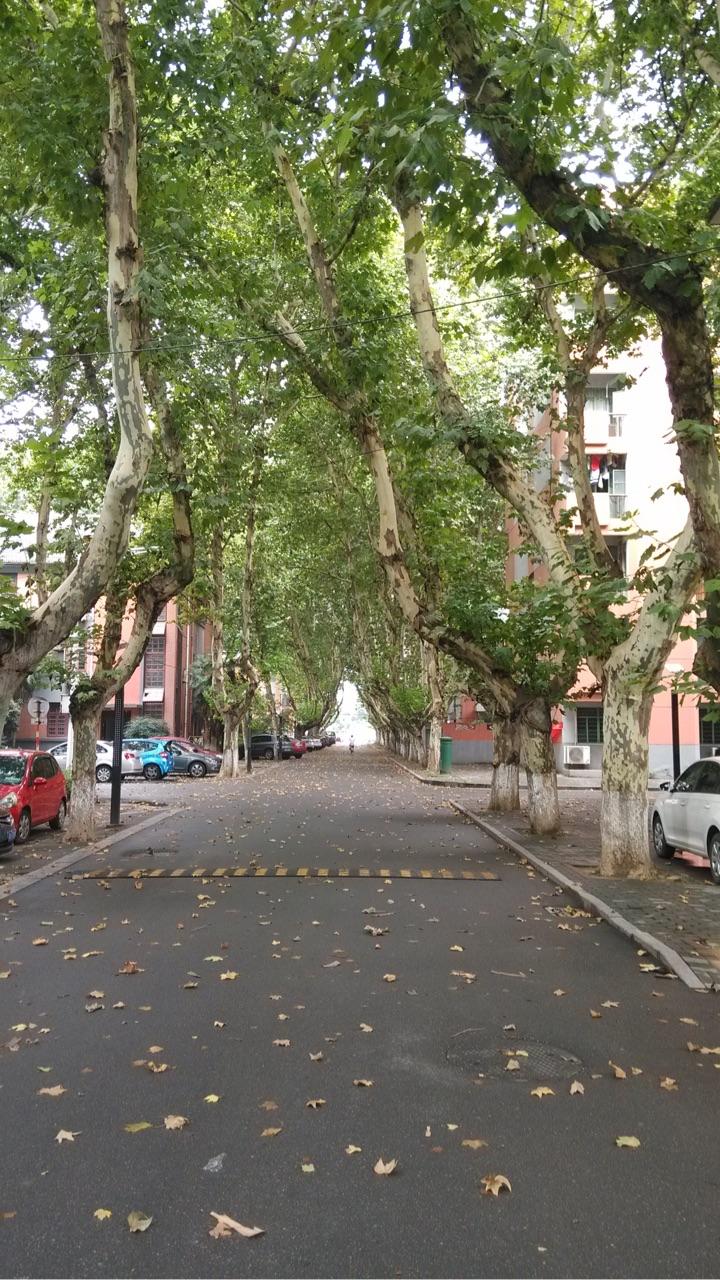 你对南京邮电大学三牌楼校区是什么印象? - 知乎