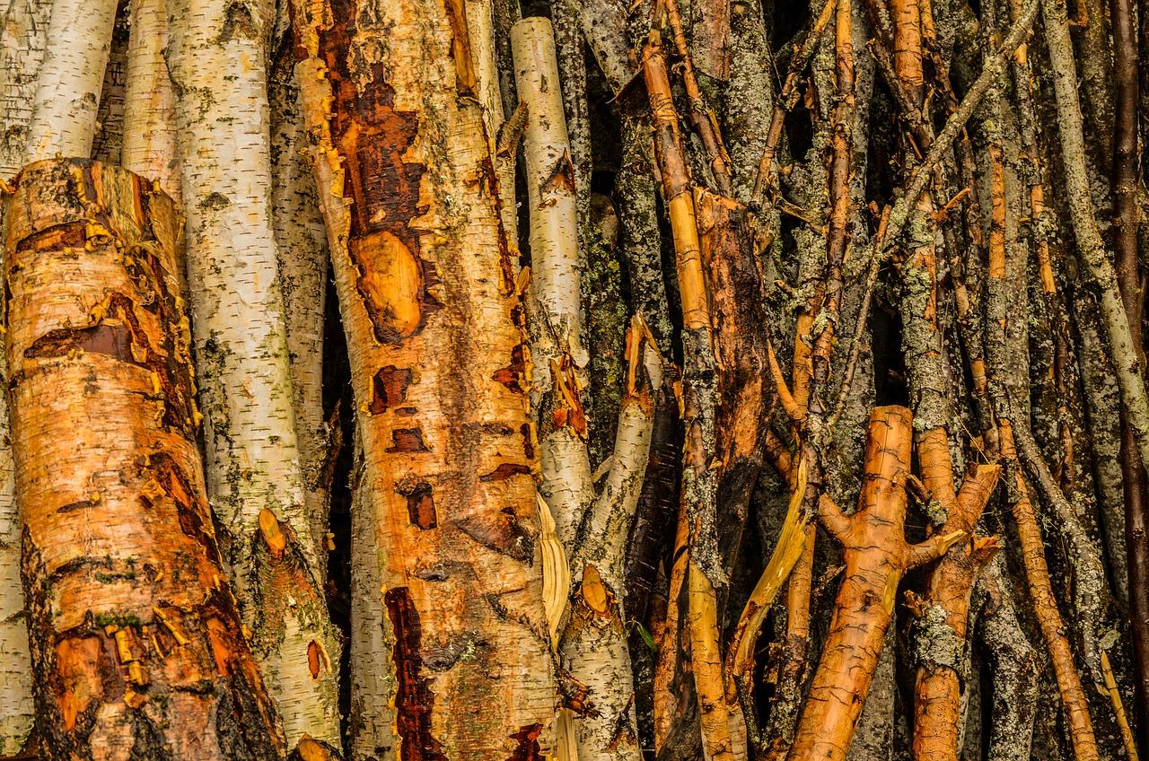 木材密度值对比