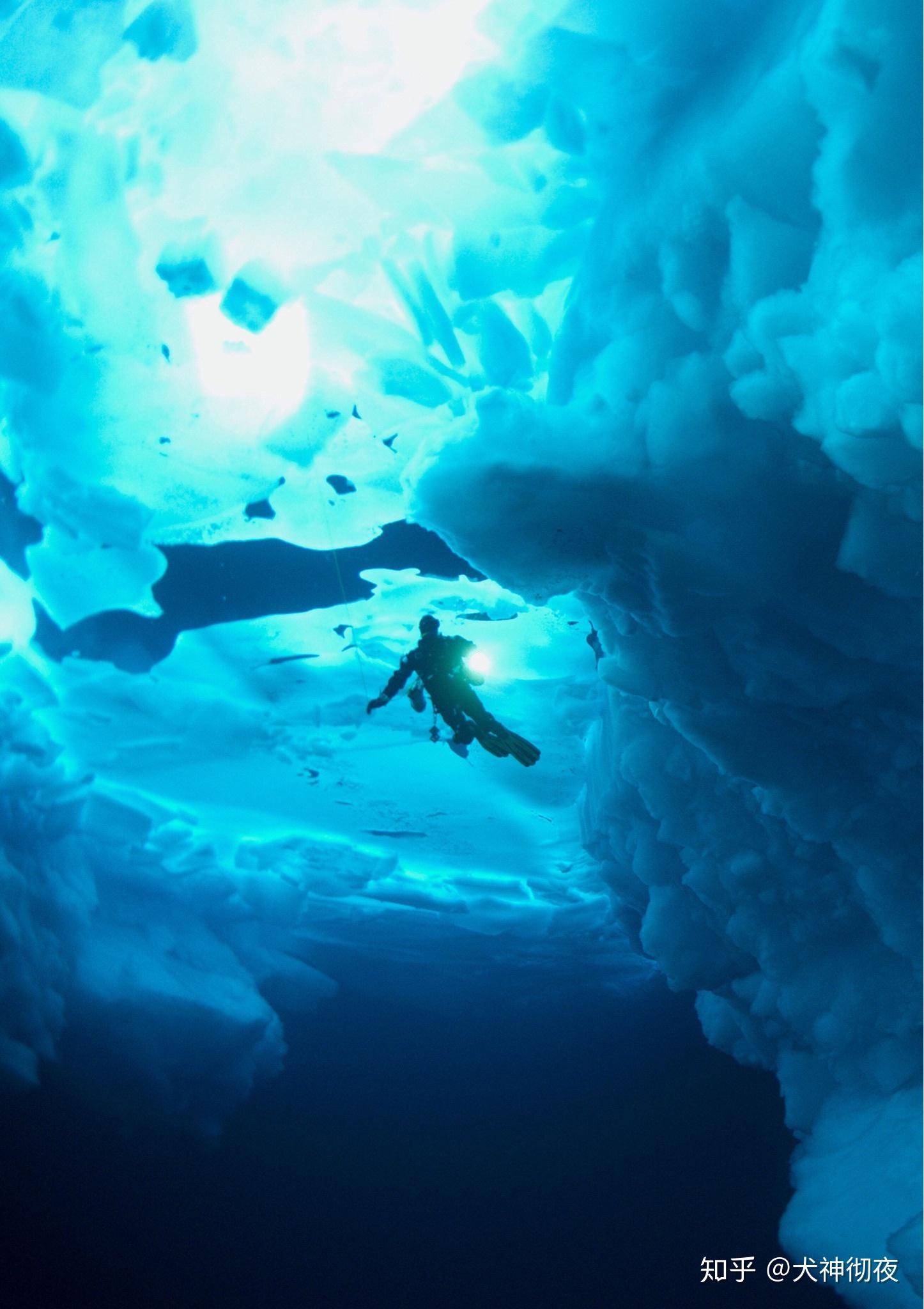 有哪些深海恐惧症看了会害怕的图片? - 知乎