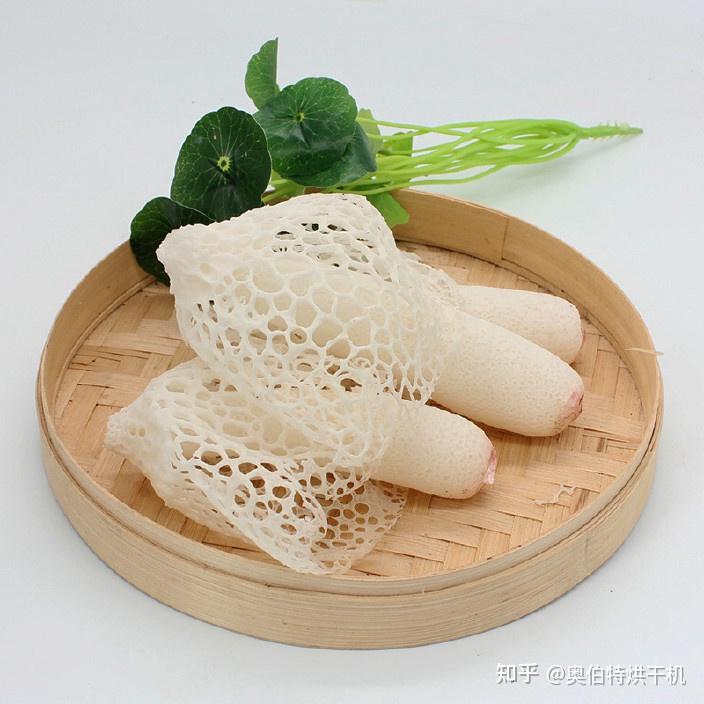 竹荪烘干工艺详解 - 知乎