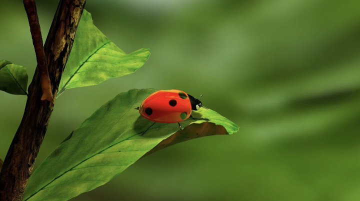 Java nio 空轮询bug到底是什么 - 知乎