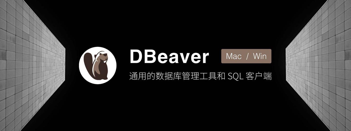  dbeaver 