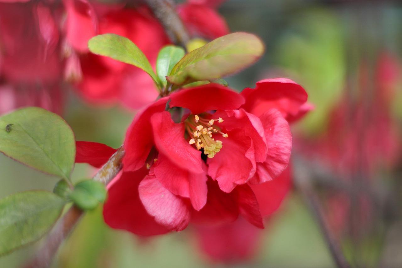 4. 喷绘费用明细