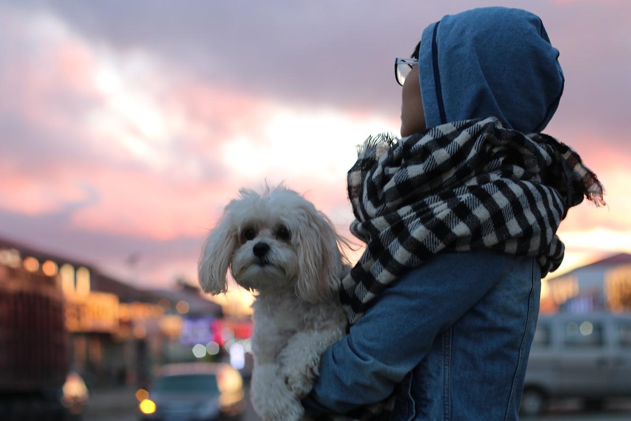 月华如练,皎洁如镜