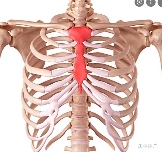 游戏《原神》里,雷电将军为什么把剑插在胸里? - 知乎