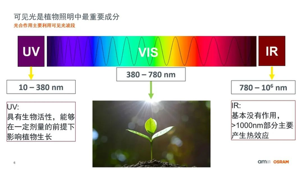 植物光合作用需要的光是什么光都可以吗？还是可见光？什么样的光最好？
