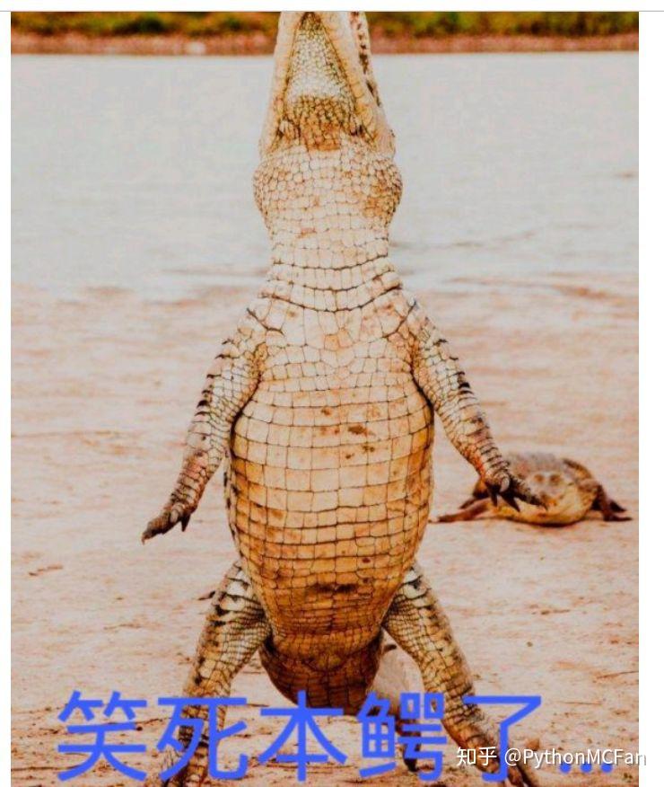 滑铲老虎是什么梗