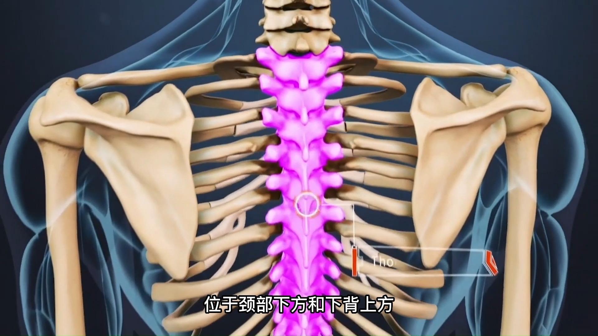 胸椎關節錯位有辦法自己解決嗎