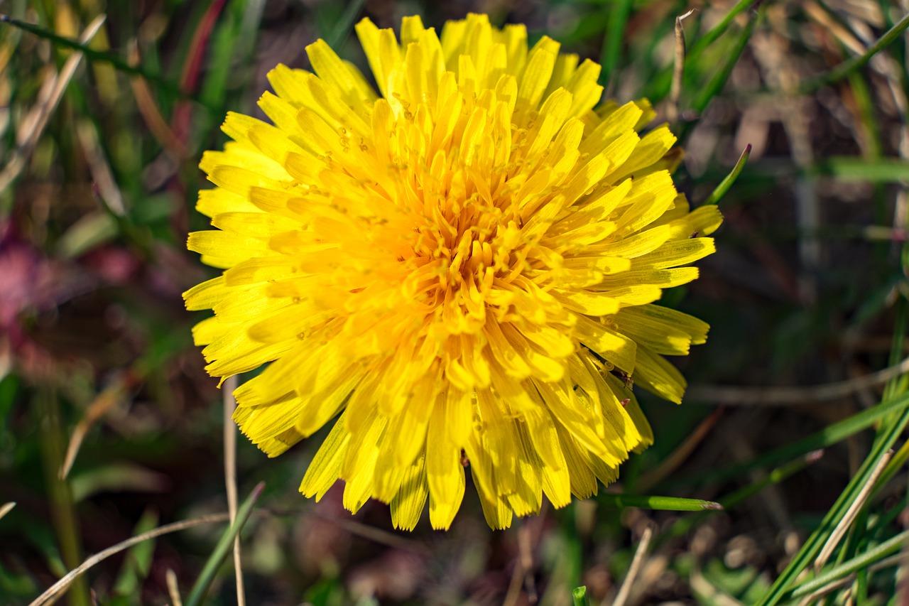 春林庭苑楼层规划