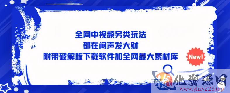 全网中视频另类玩法，都在闷声发大财，附带破解版下载软件加全网最大素材库