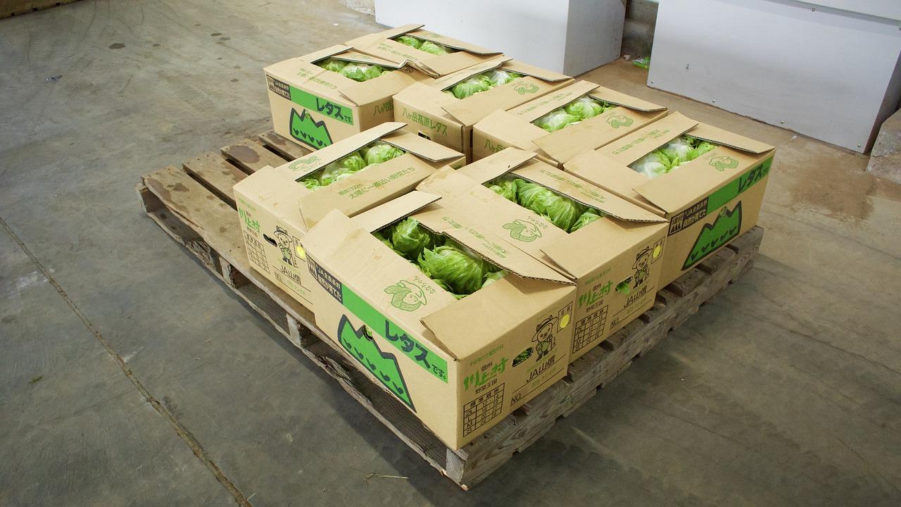 如何知道纸箱的尺寸