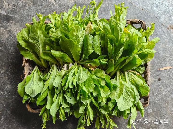 人，可以废物到什么程度？