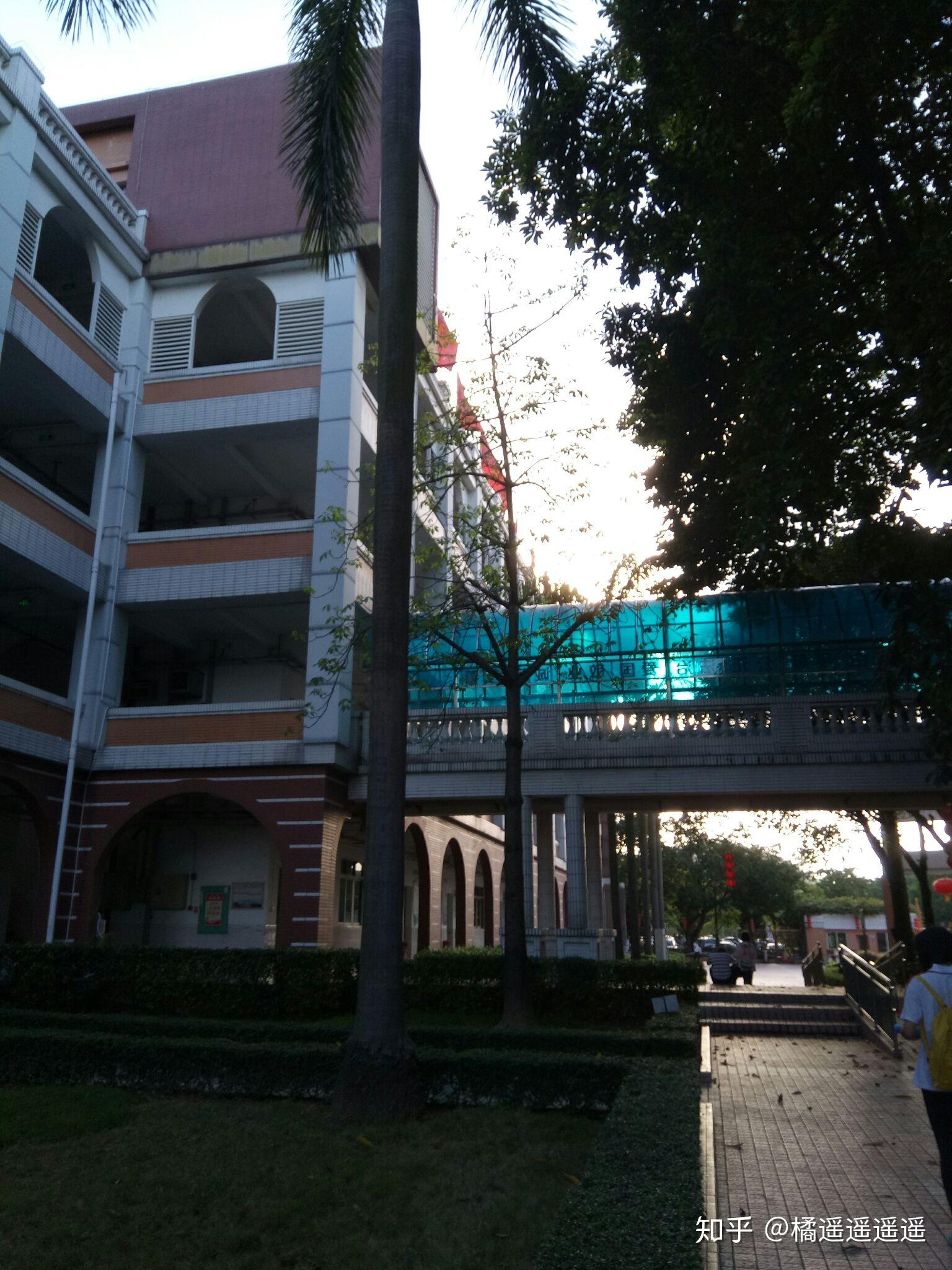 在顺德华侨中学就读是一种怎样的体验?