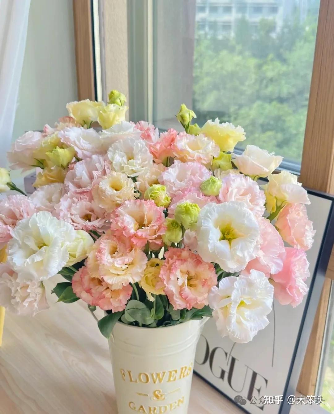 认识10种不同花的花语 - 知乎