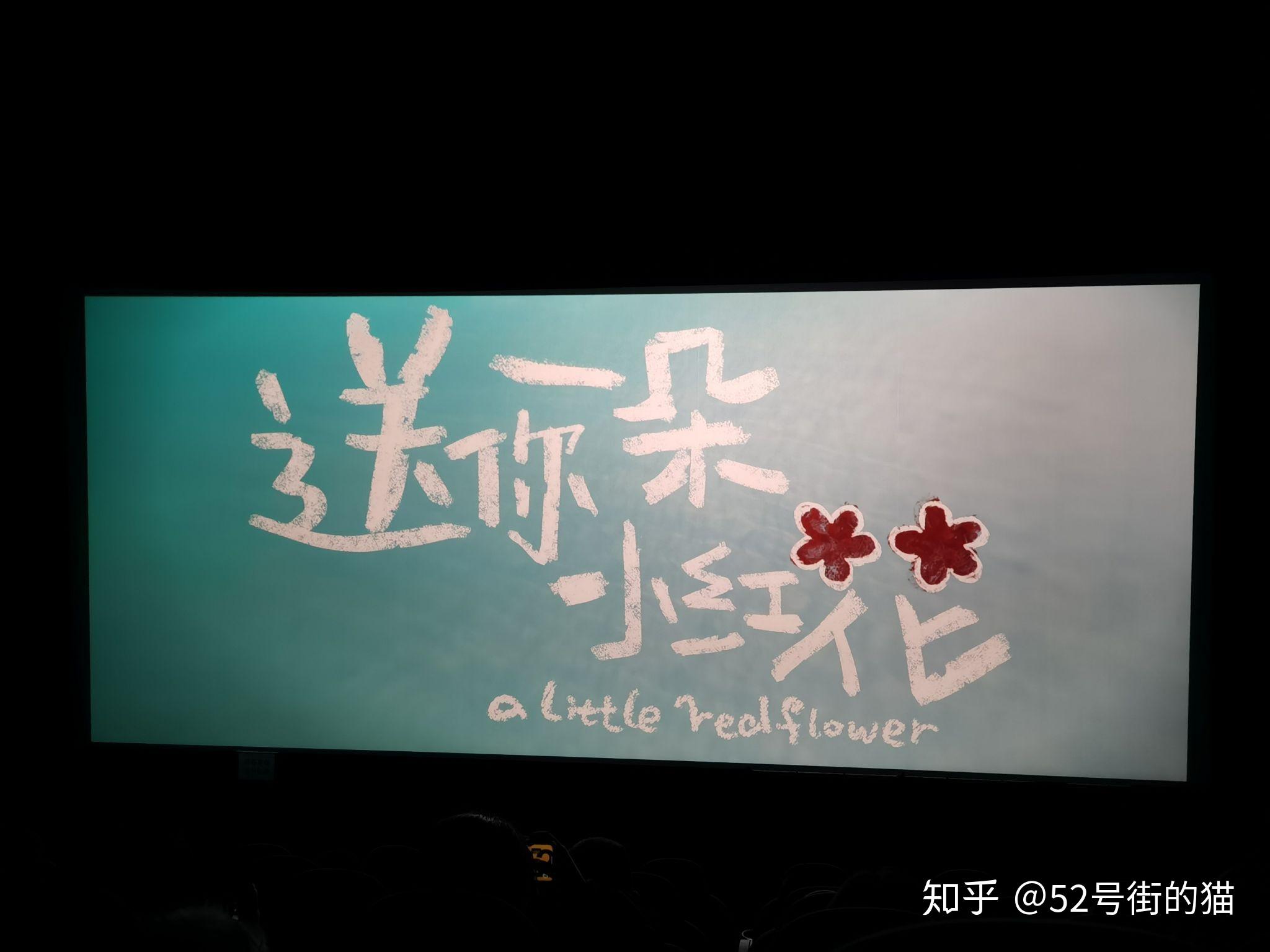 如何评价电影送你一朵小红花