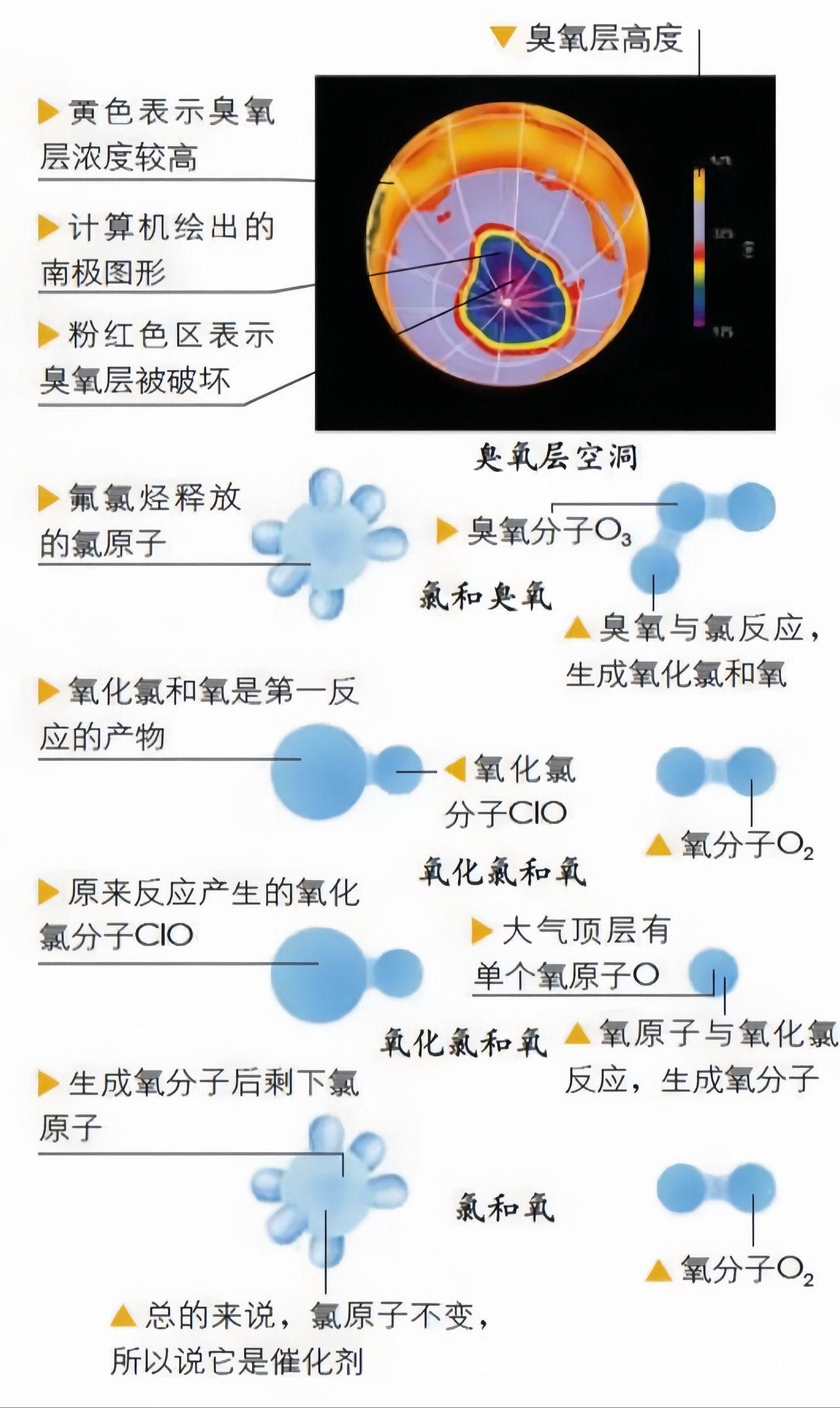 氟气化学式图片