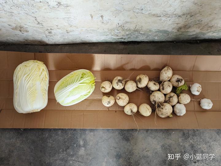 人，可以废物到什么程度？
