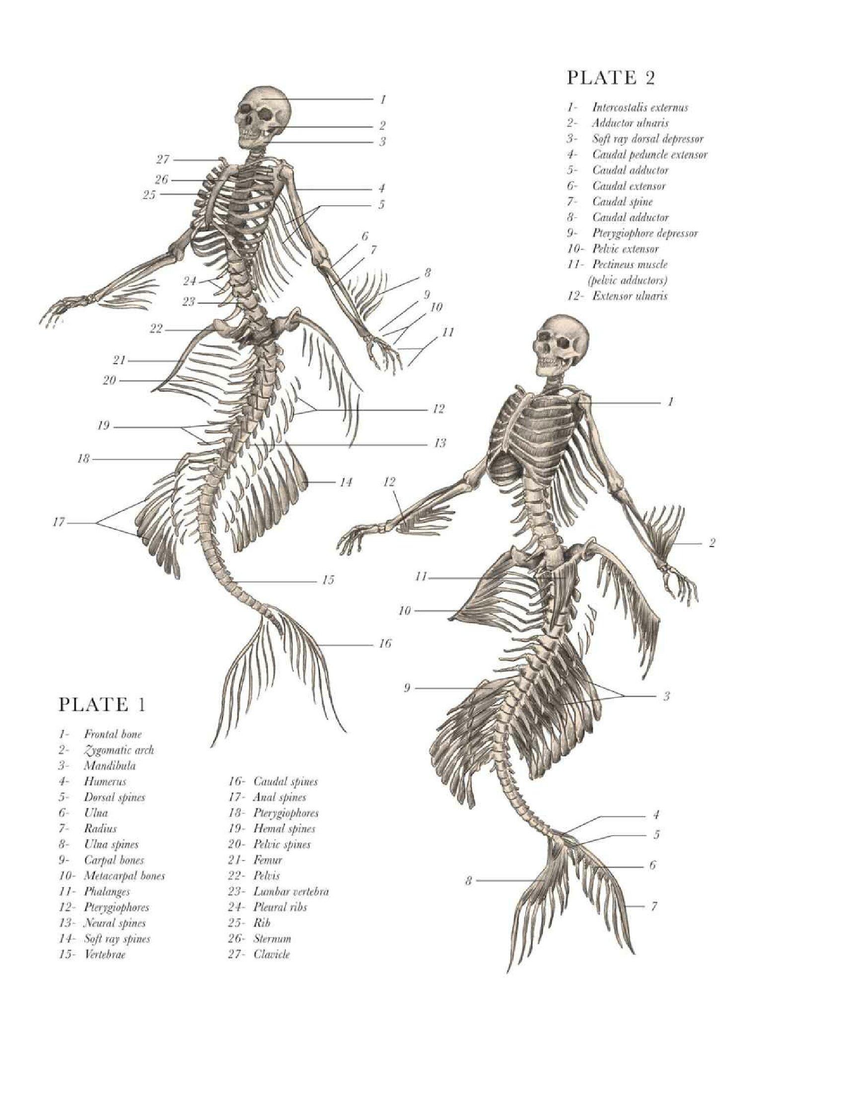 你有哪些「当时我就懵逼了」的经历? - 知乎
