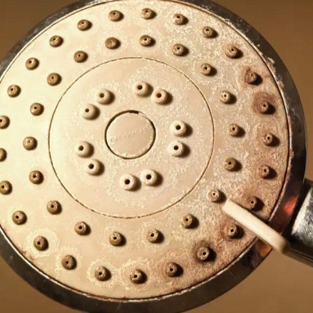 专家称花洒中病菌是自来水的百倍，易引发感染，建议每 3 月清洁一次，真有如此严重吗？多久清洗一次合适？