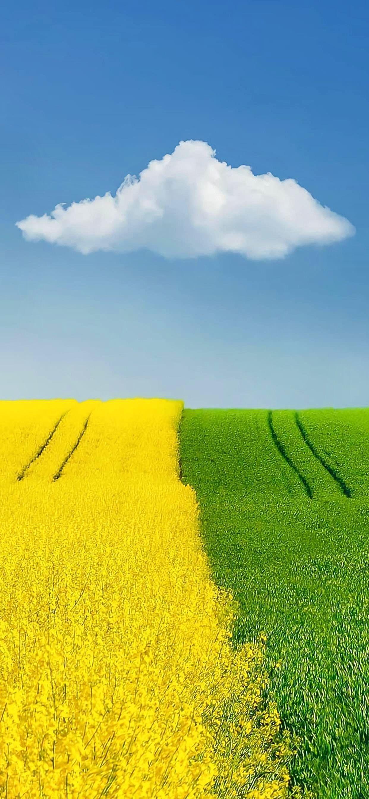 有没有那种4k画质的超高清壁纸