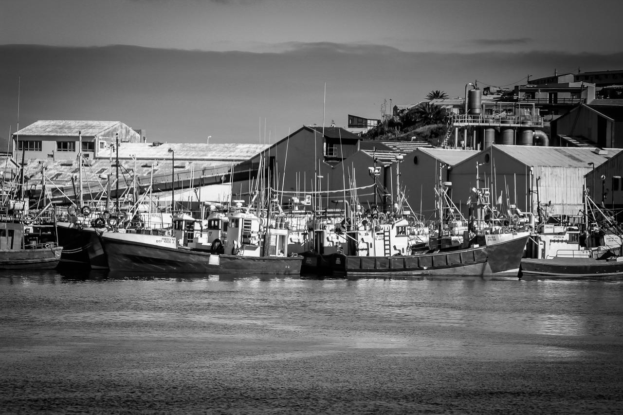 海泰海港花园投资分析