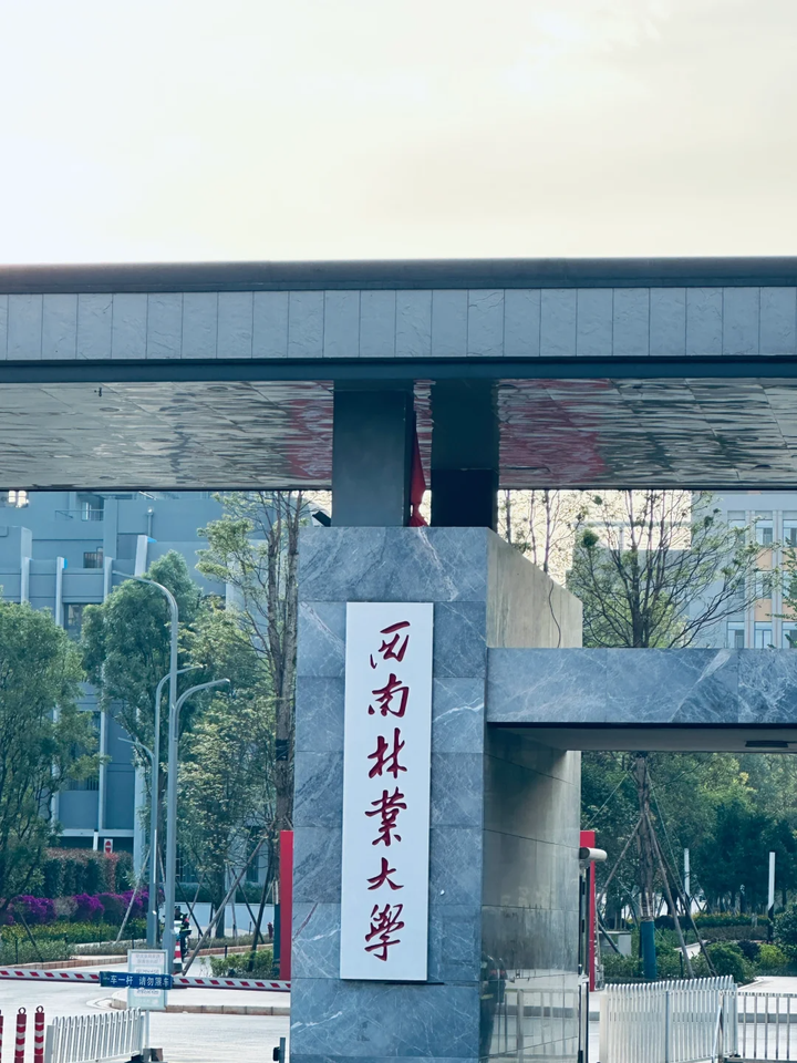 在西南林业大学就读是什么体验?