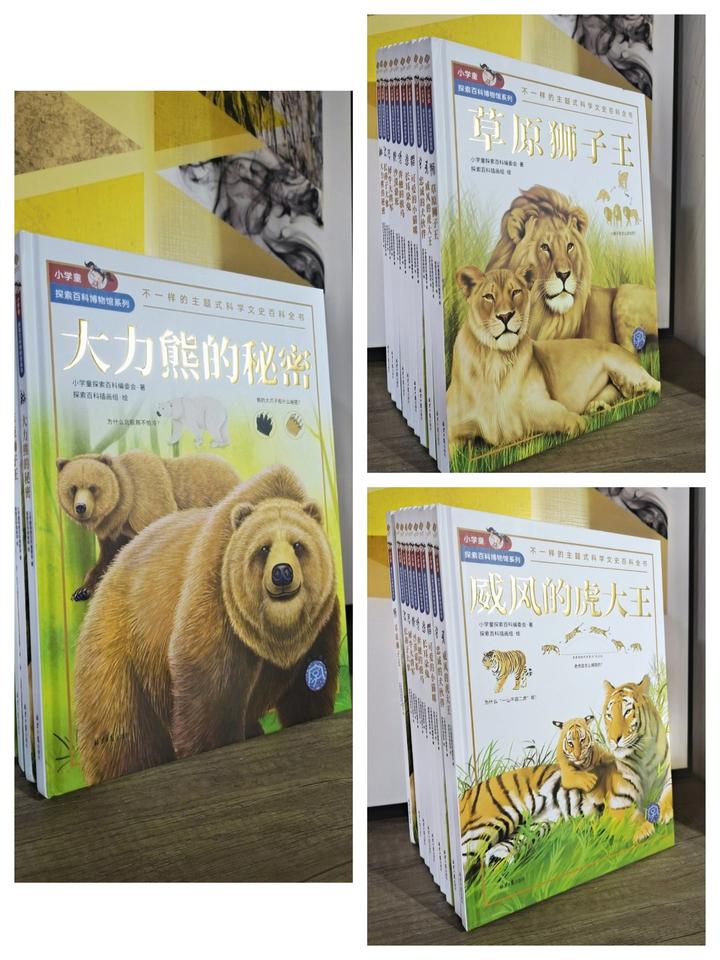 百兽之王虎、草原之王狮、大力熊，谁与争锋 - 知乎