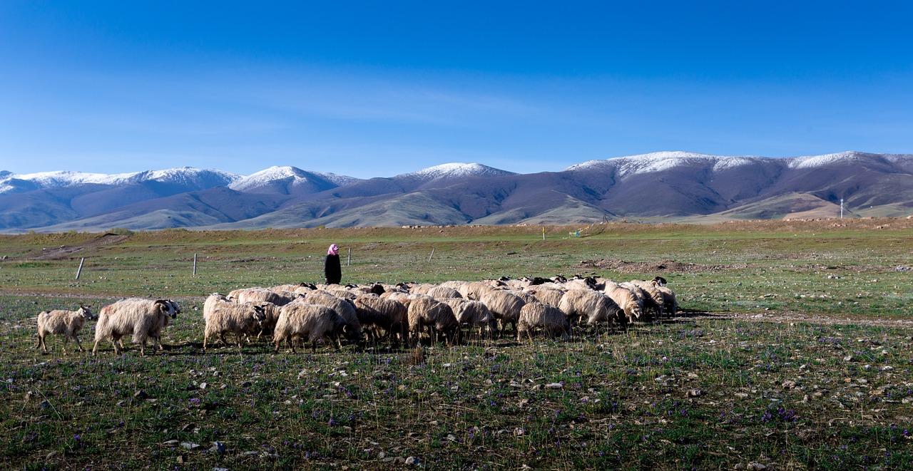 5. 东江公寓房价