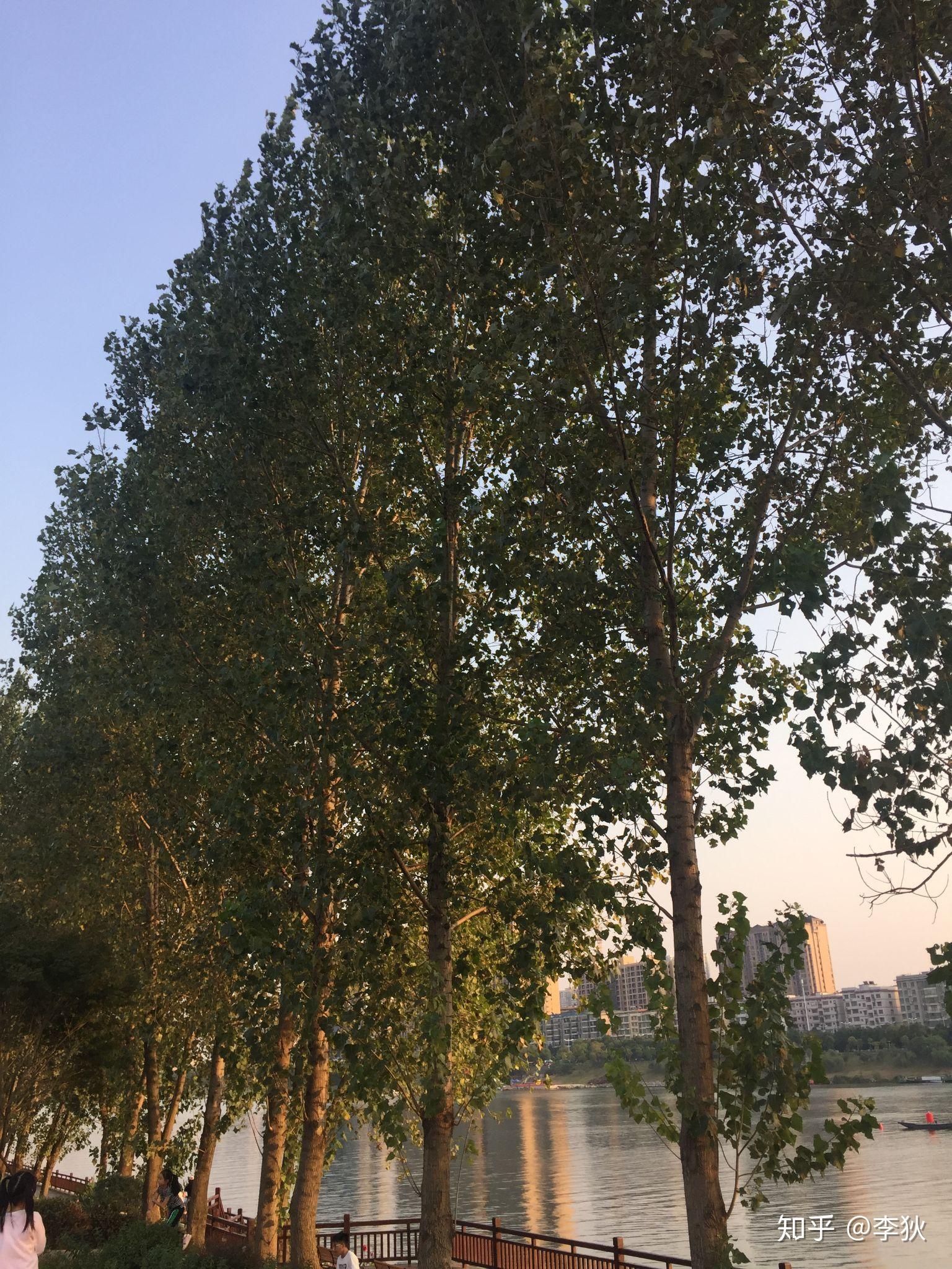 衡阳市有哪些好看好玩的景点? - 知乎