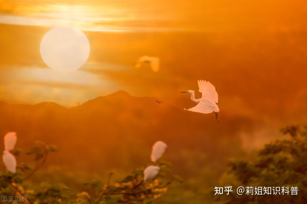 温柔的配音文案（温柔干净的励志句子） - 知乎