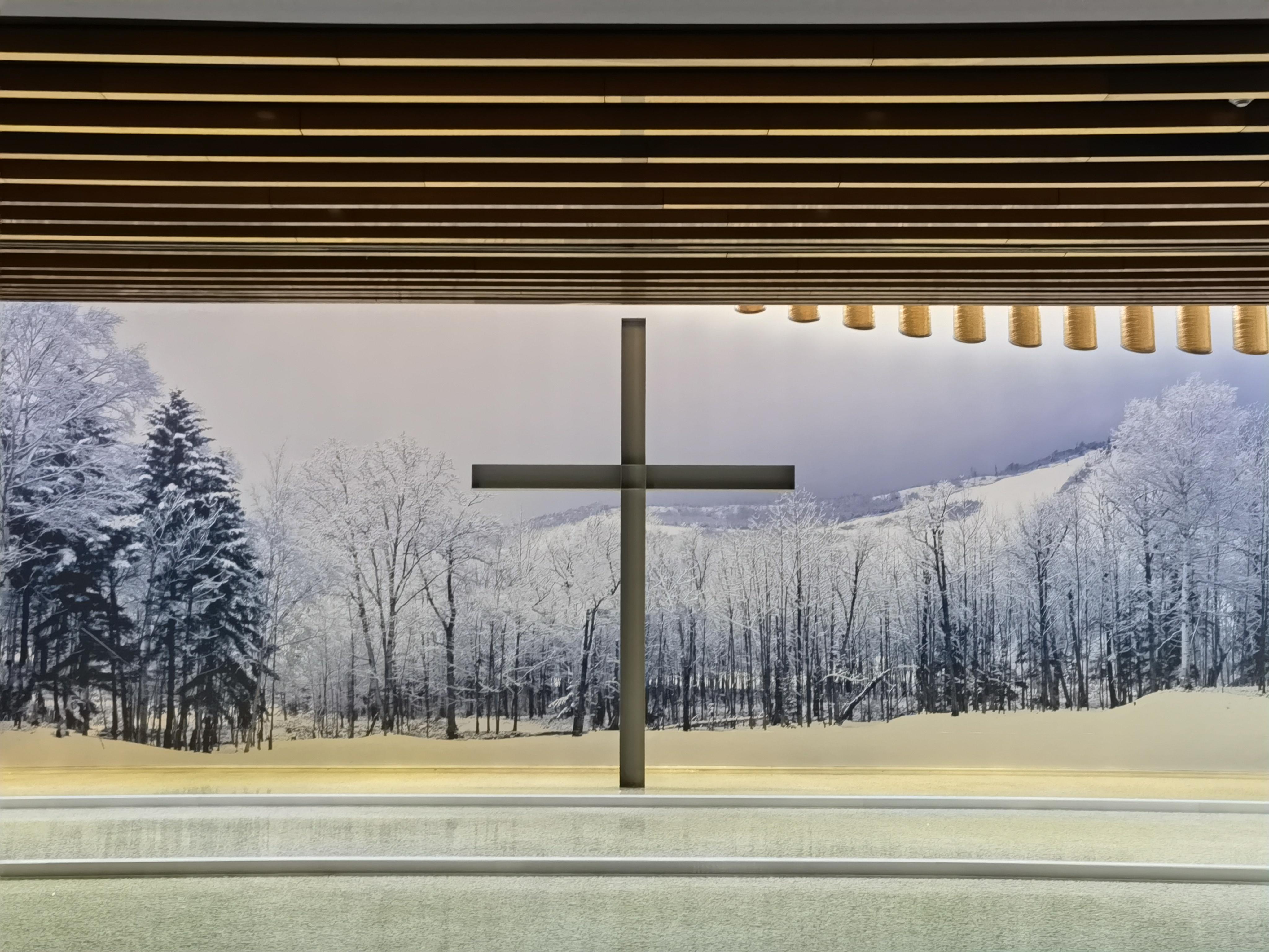 上海城市采风2021年5月上篇:保留空间,记安藤忠雄"挑战"作品展