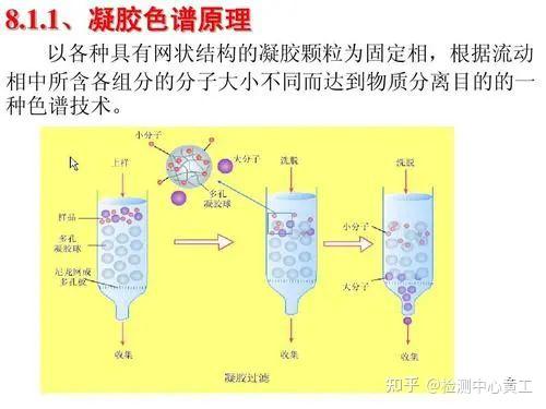 凝胶色谱法实验步骤图片