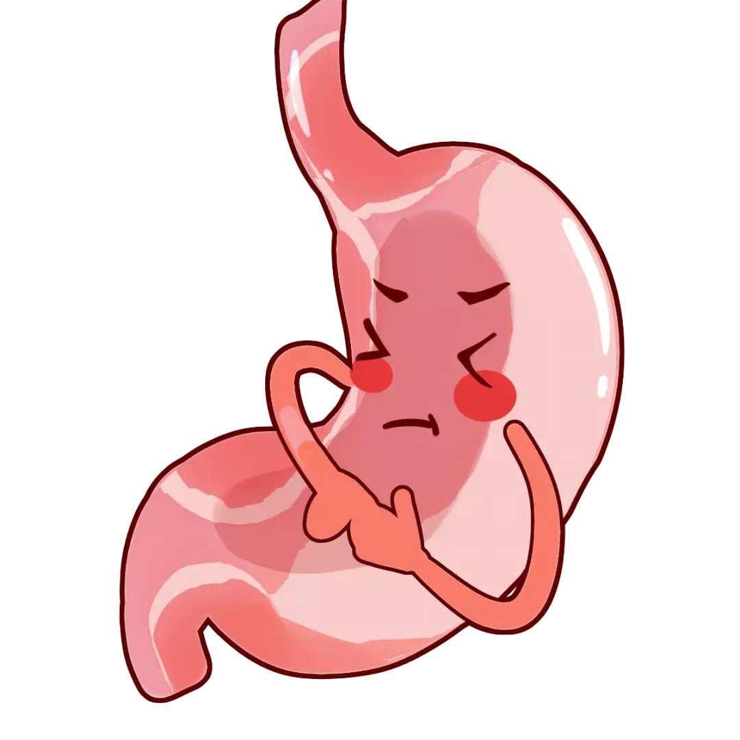 体内缺乏蛋白消化酶怎么办