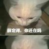 流年