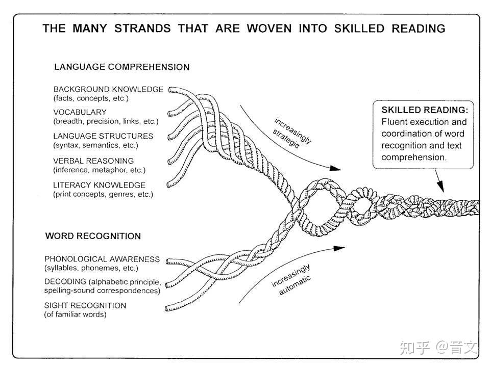 Speaking Rope The Reading Rope 的解读给我们听力很多启发 - 知乎