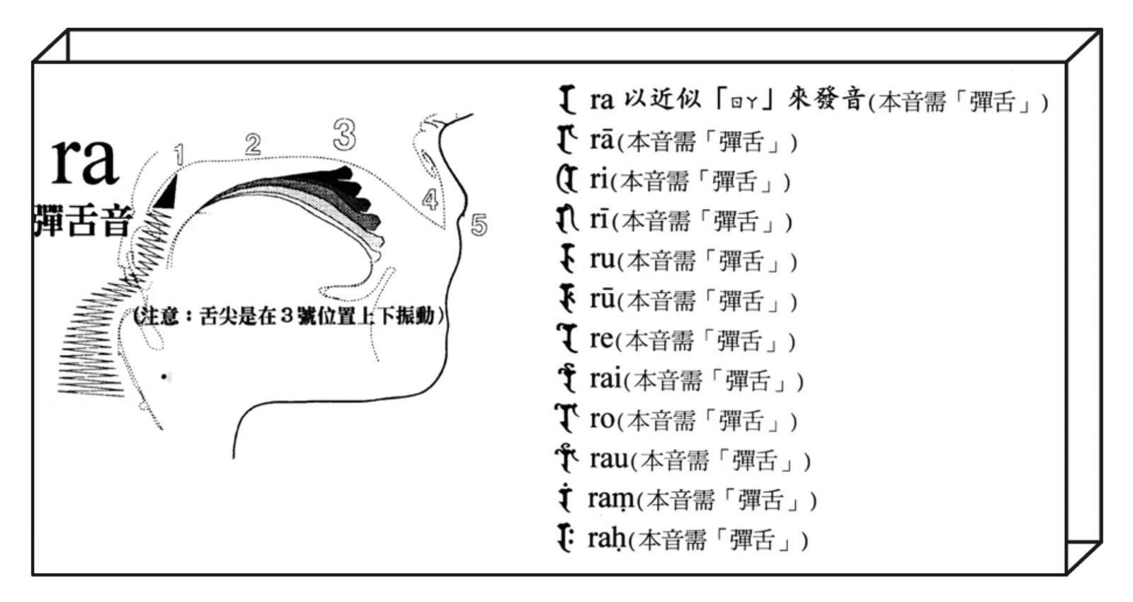 《弹舌音的功法及心法》 - 知乎