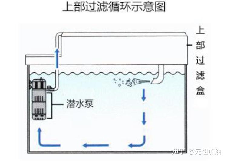 鱼缸上过滤和下过滤哪种声音更大? 