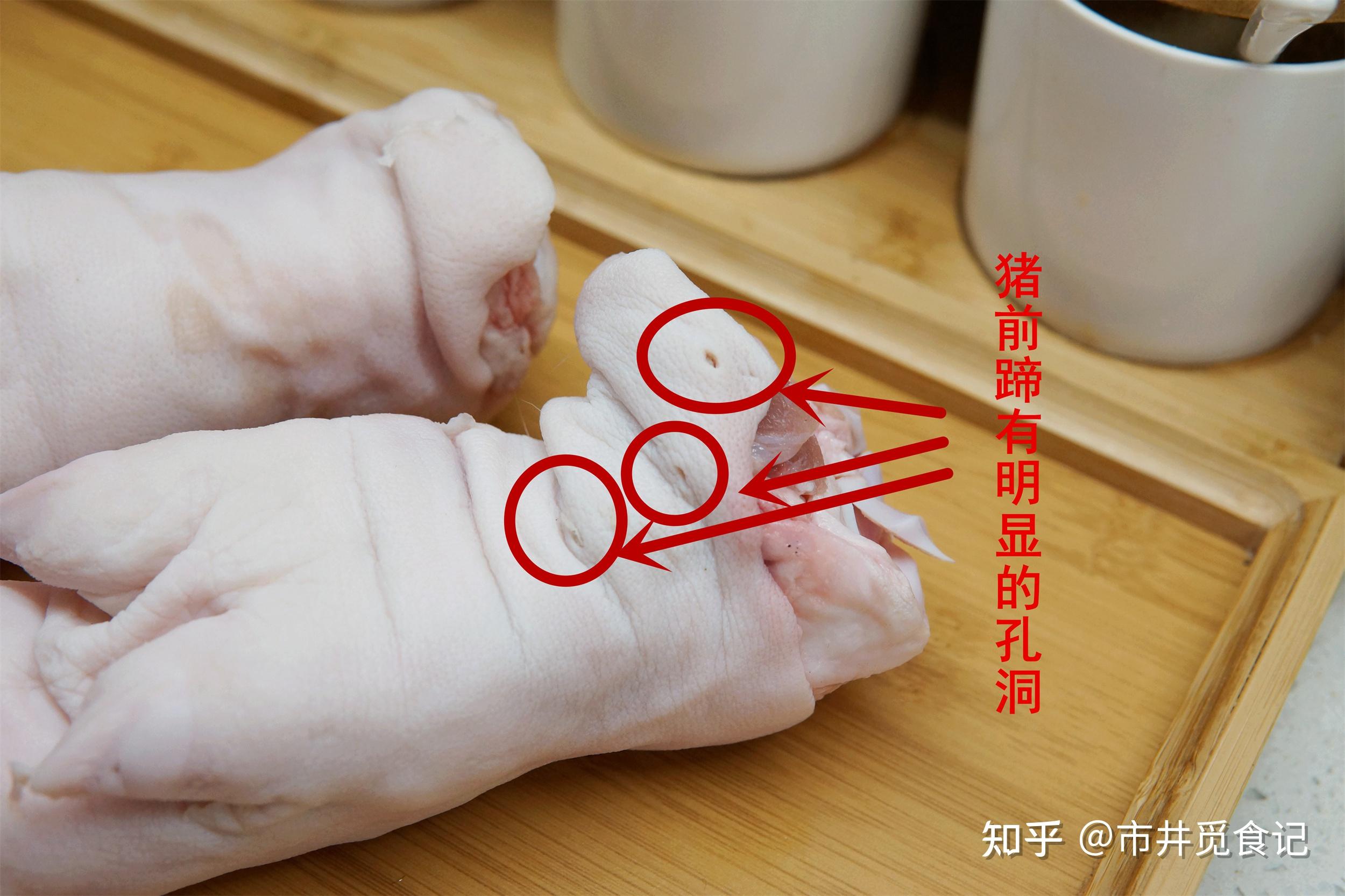 猪的前蹄和后蹄怎么区分? - 知乎