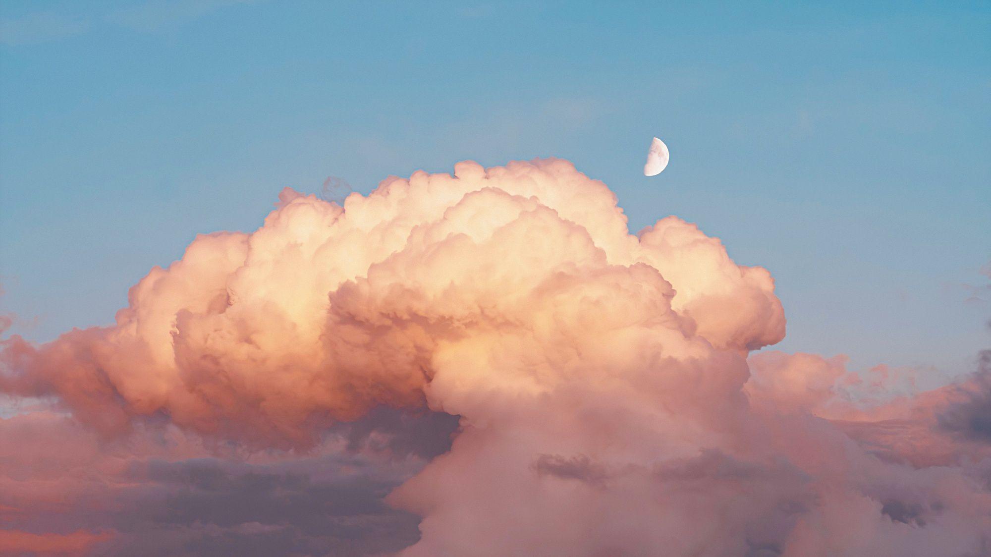 有哪些温柔的英文句子有翻译的