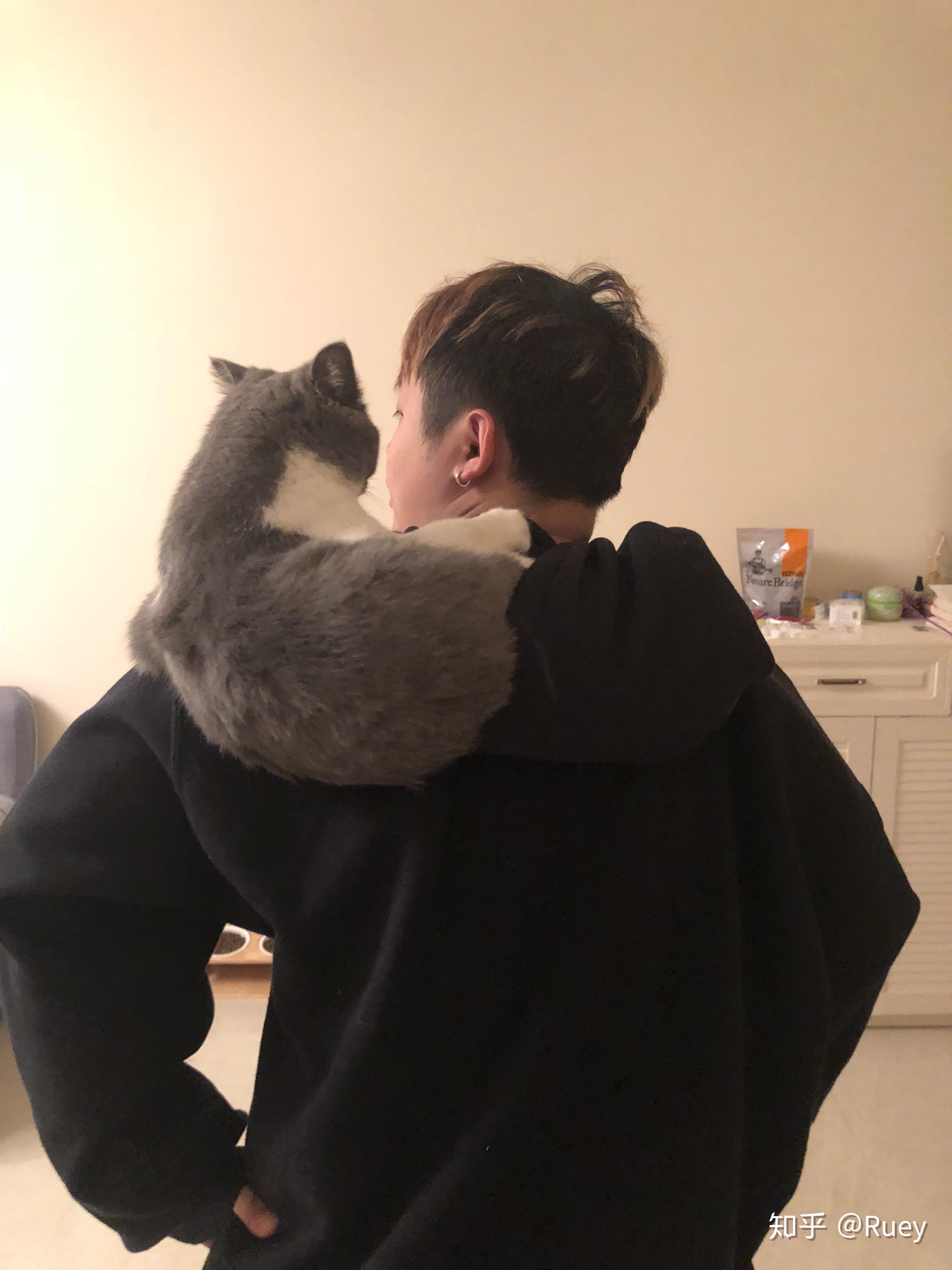 男生养猫是种什么体验