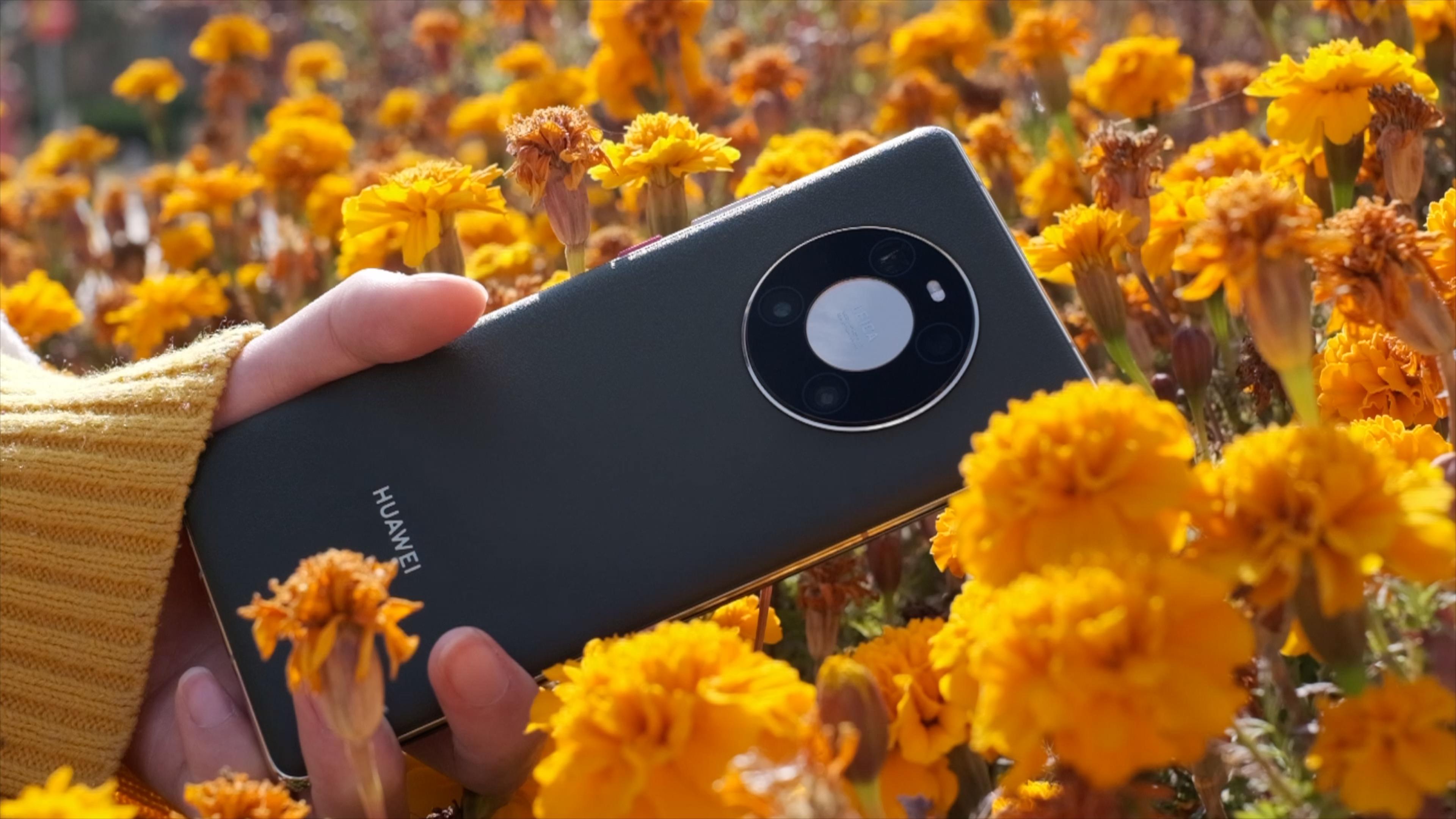 mate40pro今年最佳配色夏日胡杨开箱